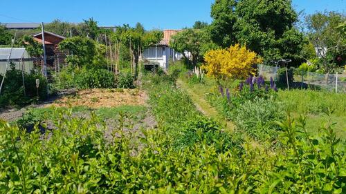 Foto - Grundstück zur Miete in Stralsund