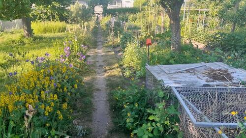 Foto - Grundstück in Stralsund