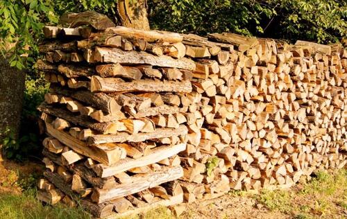 Foto - Holzlagerplatz – Northeim Brennholz