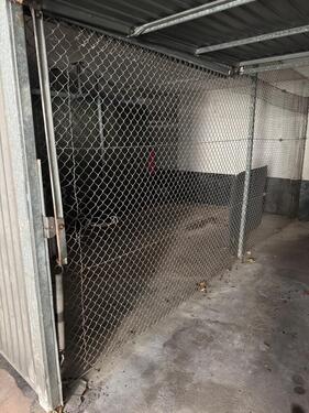 Foto - andere in Bonn