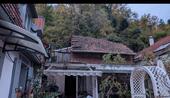 Foto - Einfamilienhaus in Wachenheim an der Weinstraße