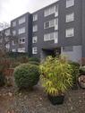 Foto - 3 Zimmer Etagenwohnung zur Miete in Dorsten