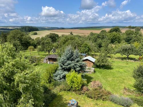 Foto - 4 Zimmer Einfamilienhaus in Irmenach