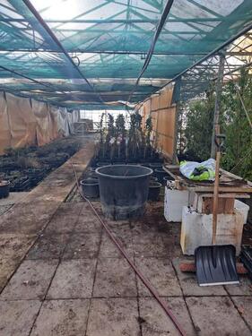 Foto - Grundst&uuml;ck in Köln