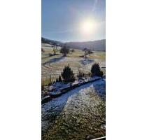 Sonnige ruhige Dachgeschosswohnung plus Gästeappartement - Schwäbisch Gmünd Bargau