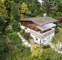 Harz Ferienhaus Uriges Blockhaus bi 8 Pers +Hund Terrassen Kamine - Walkenried