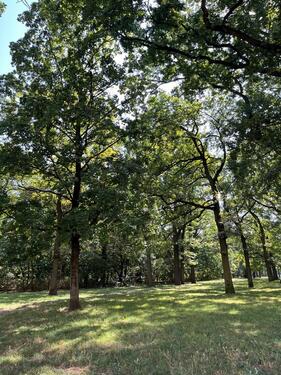 Foto - 2 Zimmer Etagenwohnung zur Miete in Nürnberg