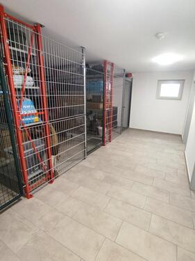 Foto - Erdgeschoßwohnung in Aholming zur Miete