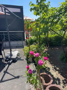 Foto - Familienfreundliches Reihenmittelhaus mit schönem Garten & 130 m
