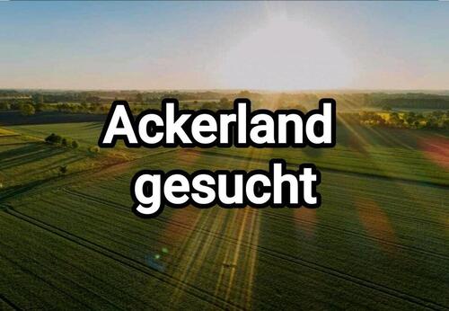 Foto - Ackerland Wiese Feld Großweier Unzhurst Ottersweier Sasbachried