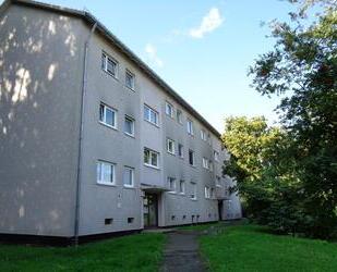 Ansprechende 4-Zimmer-Wohnung in guter Wohnlage - Kassel Bettenhausen