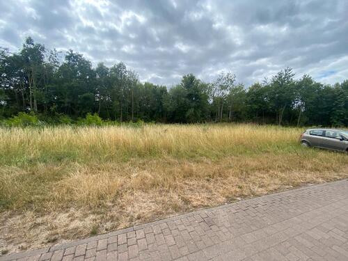 Foto - Stellplätze für Wohnmobil oder PKW zu vermieten