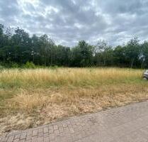 Stellplätze für Wohnmobil oder PKW zu vermieten - Wörrstadt