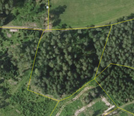 Foto - Waldgrundstück Kulmbach-Lösau 5€