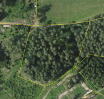 Waldgrundstück Kulmbach-Lösau 5€