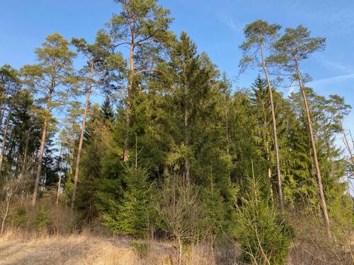 Foto - Grundst&uuml;ck zur Miete in Kulmbach
