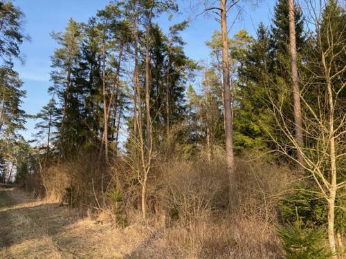 Foto - Grundst&uuml;ck in Kulmbach