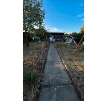 Garten dringend abzugeben - 500,00&nbsp;EUR Kaltmiete, ca.&nbsp; 0,00&nbsp;m&sup2; in Calau (PLZ: 03205)