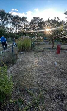 Foto - Grundst&uuml;ck in Calau