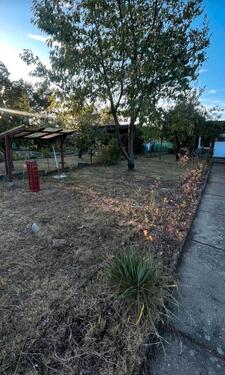 Foto - Grundst&uuml;ck in Calau zur Miete