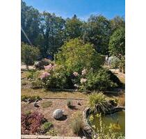 Kleingarten in KGV in 01099 DD - 1.500,00&nbsp;EUR Kaltmiete, ca.&nbsp; 0,00&nbsp;m&sup2; in Dresden (PLZ: 01127) Neustadt