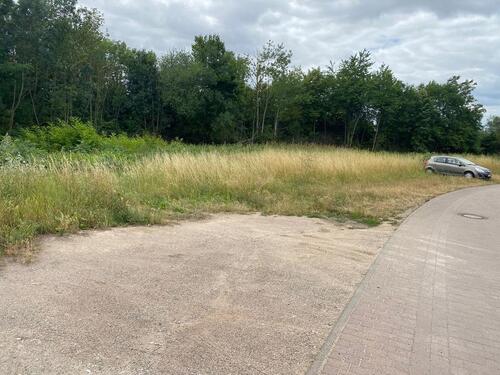 Foto - andere in Mainz