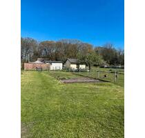 Kleingarten - 150,00&nbsp;EUR Kaltmiete, ca.&nbsp; 0,00&nbsp;m&sup2; in Altdöbern (PLZ: 03229)