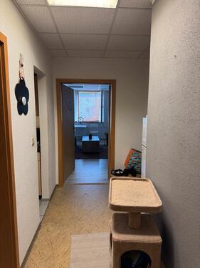 Foto - 3 Raum Wohnung 75qm - 560,00 EUR Kaltmiete,