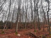 Foto - Waldgrundstück in Greding - 2,00&nbsp;EUR Kaltmiete, ca.&nbsp; 0,00&nbsp;m&sup2;