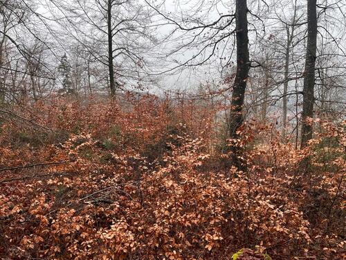 Foto - Grundst&uuml;ck in Greding