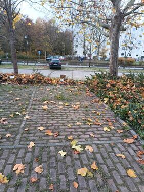 Foto - Stellplatz für Auto, Wohnwagen etc.