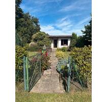 Pachtgarten Ströbitzer Badesee *bitte nur aus näherer Umgebung* - Drebkau