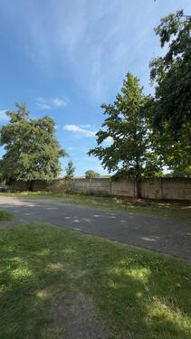 Foto - andere in Dresden