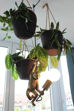 Foto - 1 Zimmer Etagenwohnung in Coburg