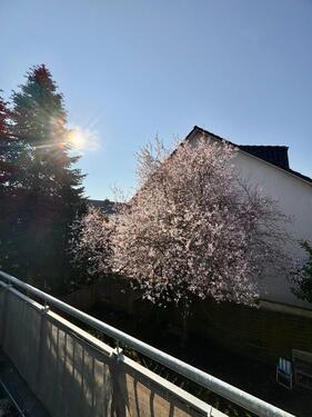 Foto - 3 Zimmer Etagenwohnung in Verden (Aller)