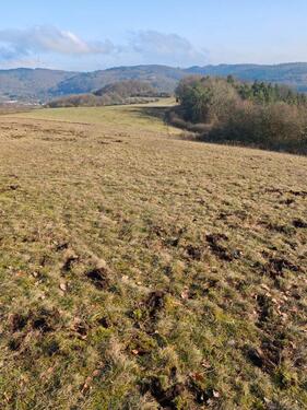 Foto - Grundst&uuml;ck in Bischoffen