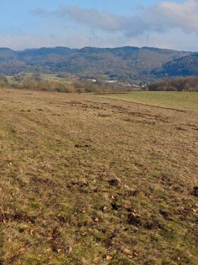 Foto - Grundst&uuml;ck in Bischoffen zum Kaufen