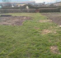 Pacht- Gartengrundstück - 500,00&nbsp;EUR Kaltmiete, ca.&nbsp; 0,00&nbsp;m&sup2; in Bad Freienwalde (Oder) (PLZ: 16259)