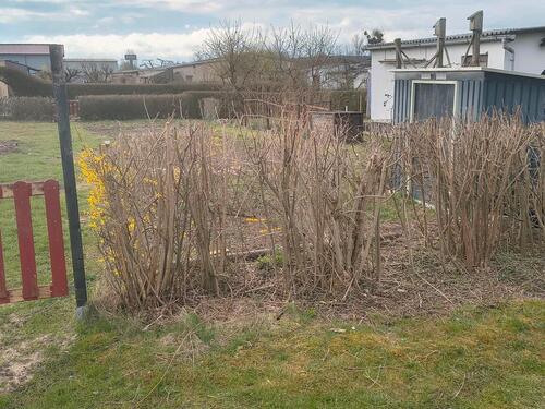 Foto - Grundst&uuml;ck zur Miete in Bad Freienwalde (Oder)