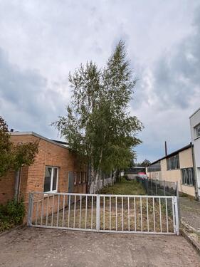 Foto - andere in Langenhagen