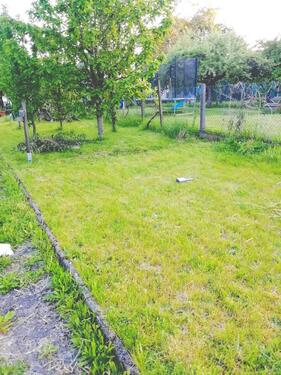 Foto - Grundst&uuml;ck zur Miete in Linden