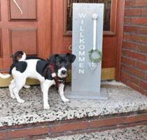 Ferienwohnung Monteurswohnung Westoverledingen