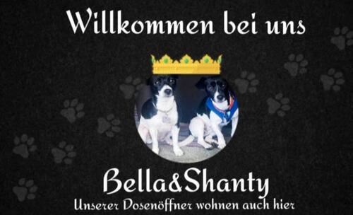 Foto - andere in Westoverledingen