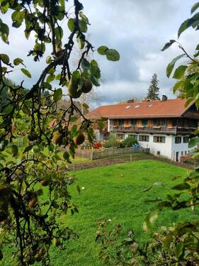 Foto - Gemütliche Ferienwohnung auf unserem Kinderponyhof