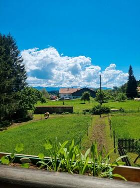 Foto - andere zur Miete in Bernbeuren