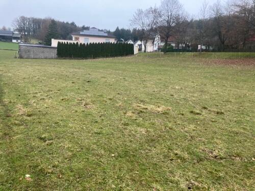 Foto - Grundst&uuml;ck in Sonnefeld