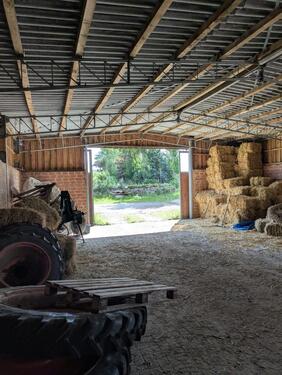 Foto - andere in Belm