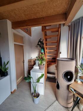 Foto - 3 Zimmer Etagenwohnung zur Miete in Jübek