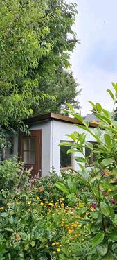 Foto - vermietet wird ein Gartengrundstück mit Gartenhaus