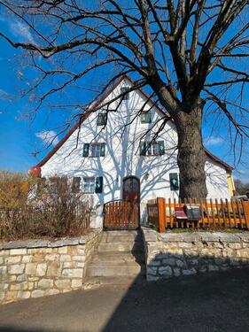 Foto - 8 Zimmer Einfamilienhaus zur Miete in Henfenfeld